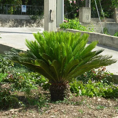 Baglio Gammicchia